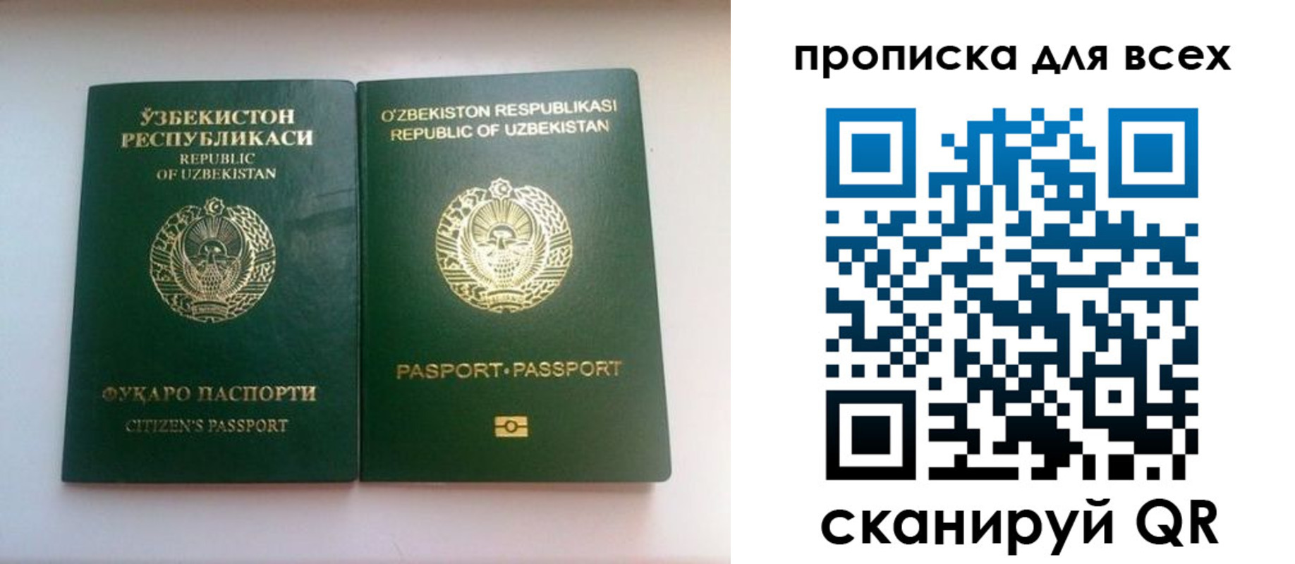 прописка для школы в Сибае